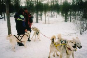 Lisa helps harness the huskies